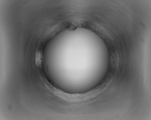 X0000111370038200907101220