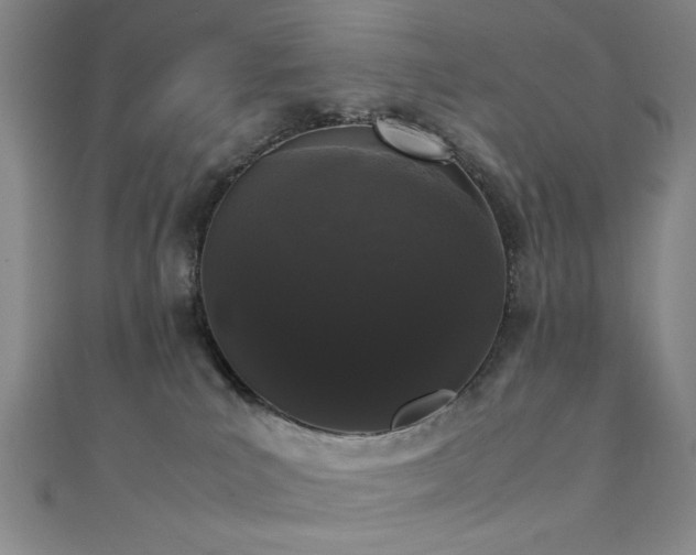 X0000111370039200907101220