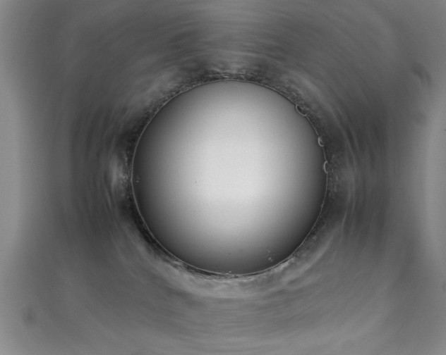 X0000111370040200907101220