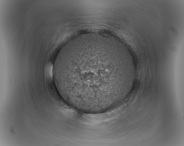 X0000111370041200907101220