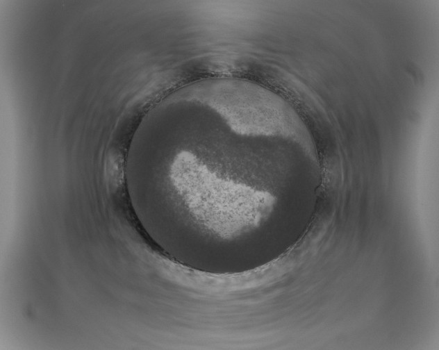 X0000111370043200907101220