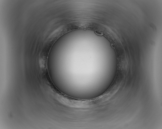 X0000111370044200907101220