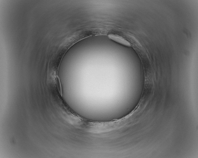 X0000111370045200907101220