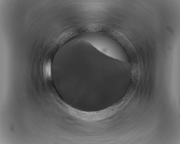 X0000111370046200907101220