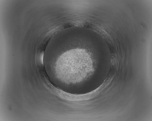 X0000111370047200907101220