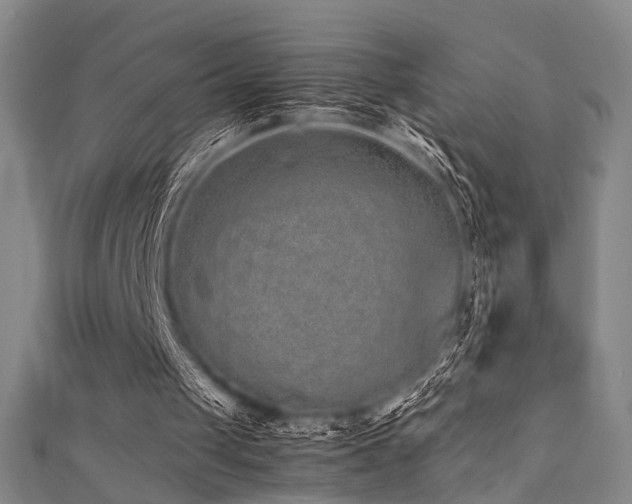 X0000111370049200907101219