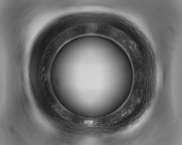 X0000111370050200907101219