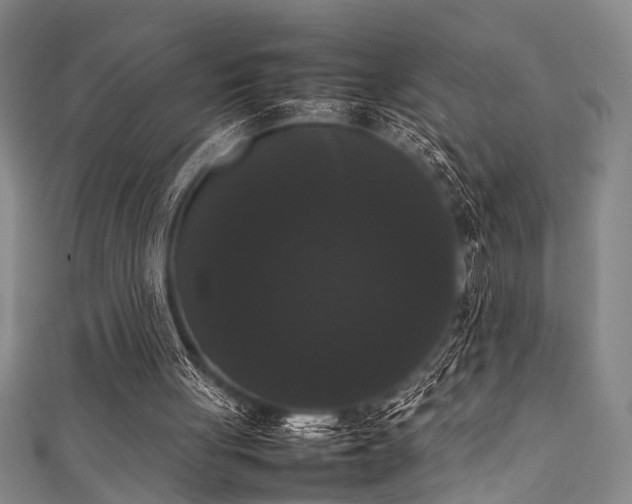 X0000111370051200907101219