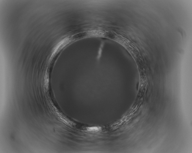 X0000111370053200907101219