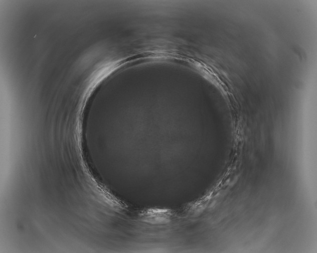 X0000111370055200907101219