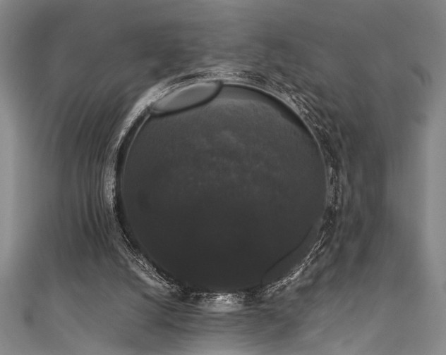 X0000111370056200907101219