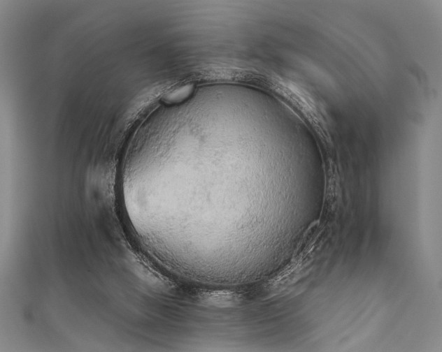 X0000111370058200907101219