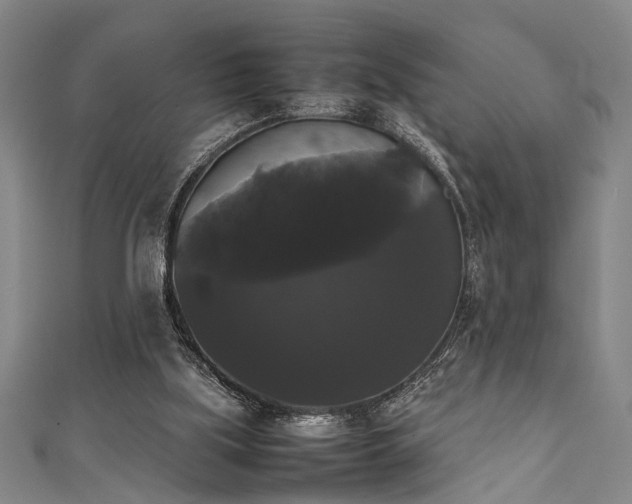 X0000111370059200907101219