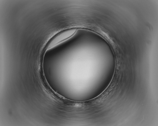 X0000111370060200907101219