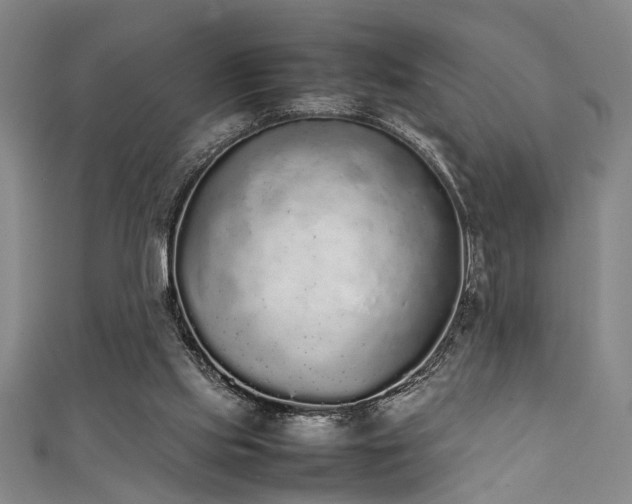 X0000111370061200907101220