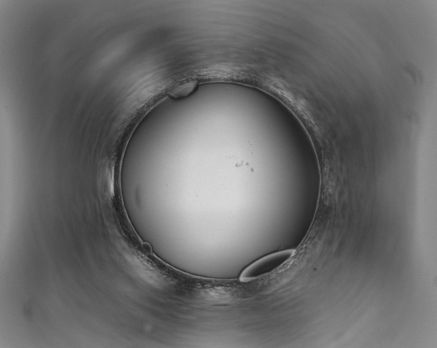 X0000111370062200907101220