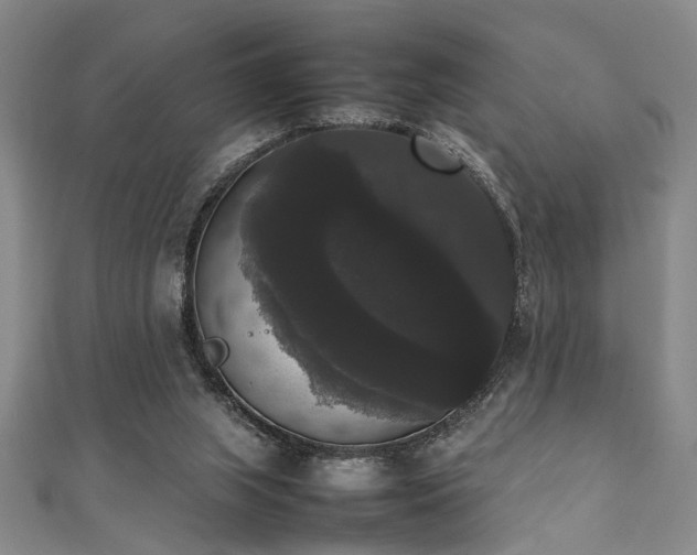 X0000111370063200907101220