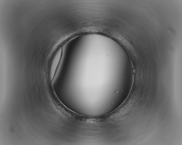 X0000111370064200907101220