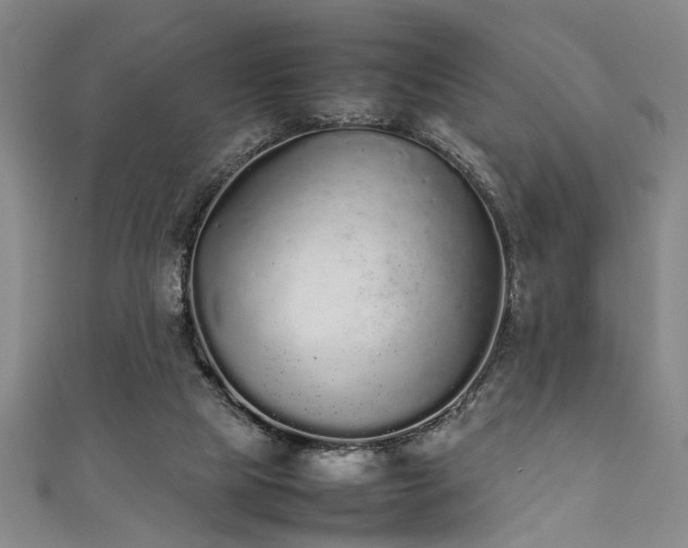 X0000111370065200907101220