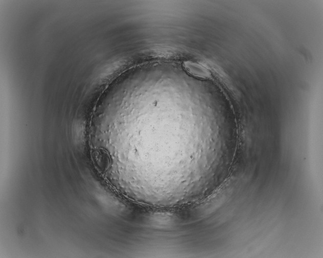 X0000111370066200907101220