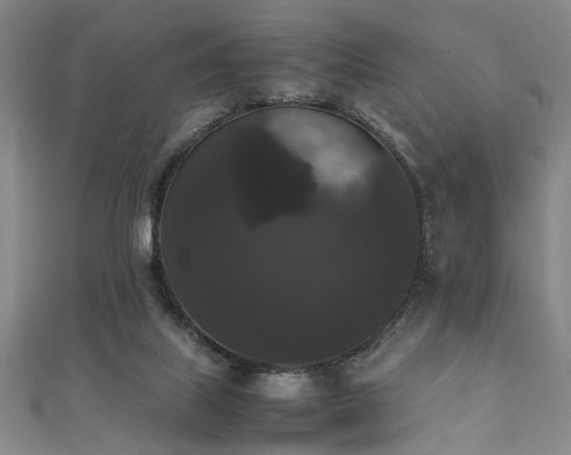 X0000111370067200907101220