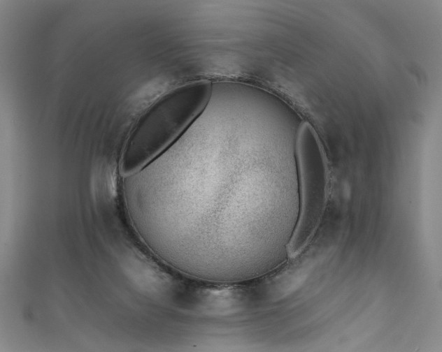 X0000111370068200907101220