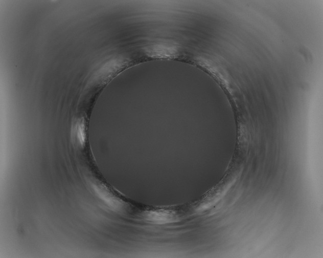 X0000111370069200907101220