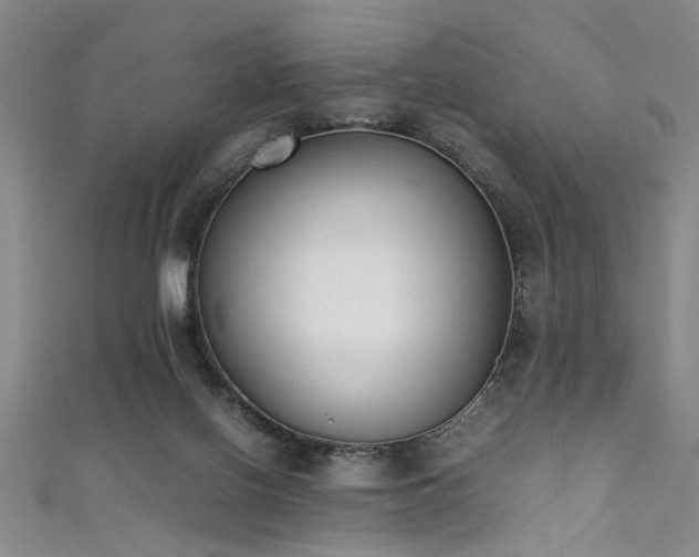 X0000111370070200907101220