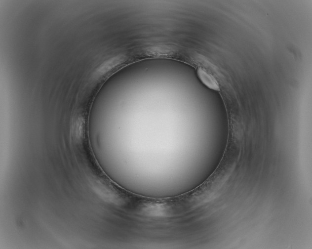 X0000111370071200907101220