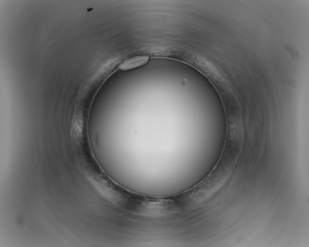 X0000111370072200907101220