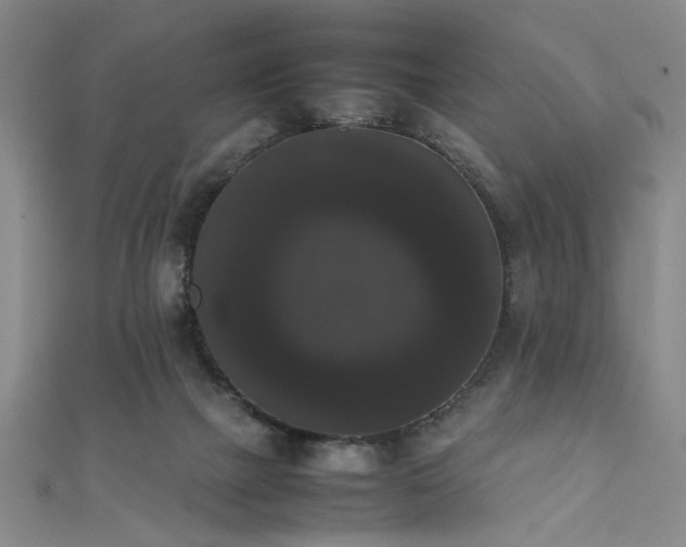 X0000111370073200907101220