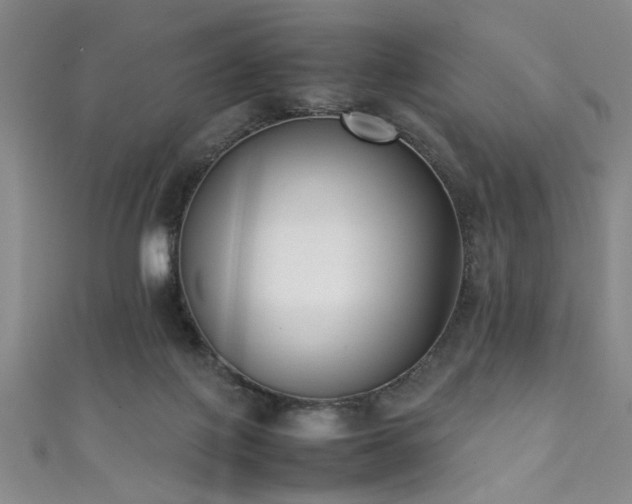 X0000111370075200907101220