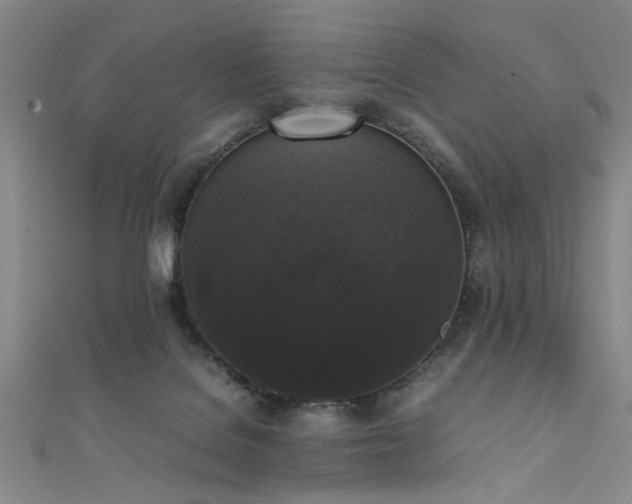 X0000111370076200907101220