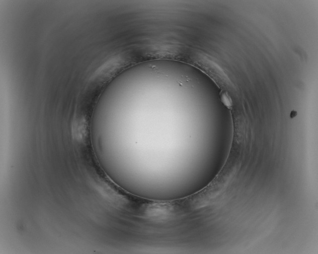 X0000111370077200907101220