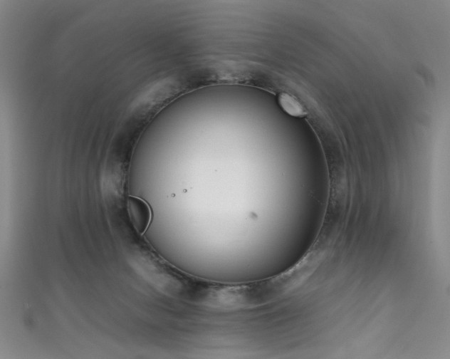 X0000111370078200907101220