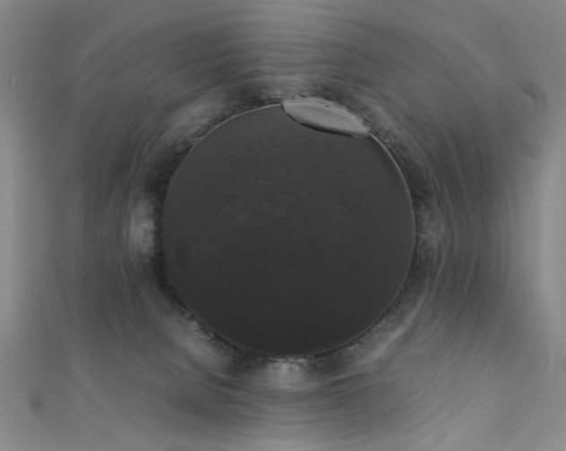 X0000111370080200907101220