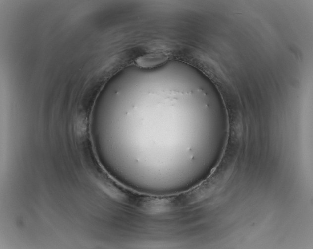 X0000111370081200907101220