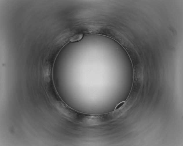 X0000111370082200907101220