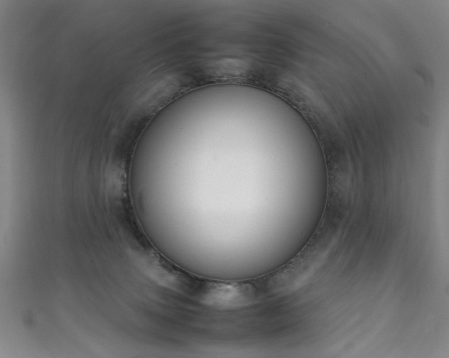 X0000111370083200907101220