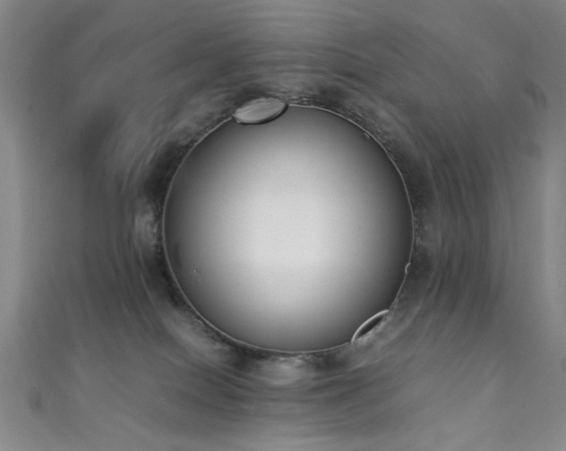 X0000111370086200907101220