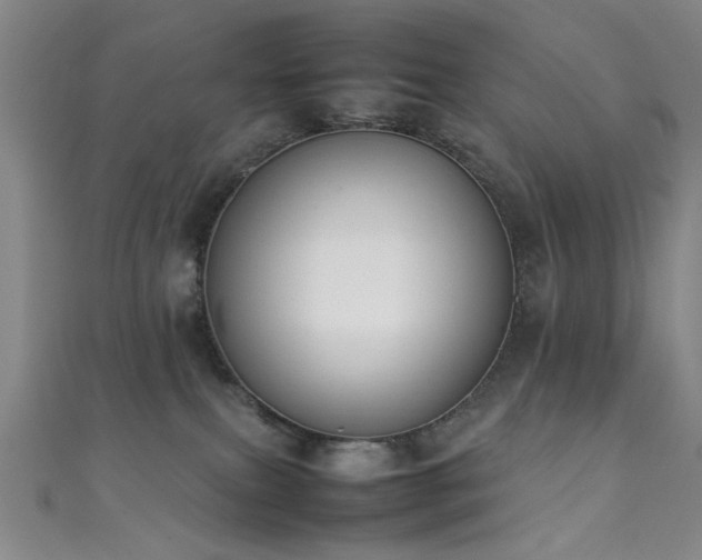 X0000111370087200907101220