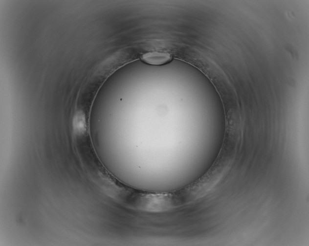 X0000111370089200907101220