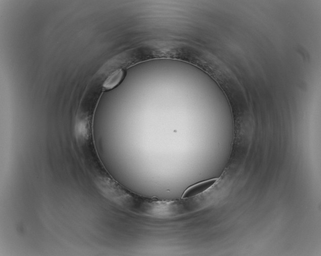 X0000111370090200907101220