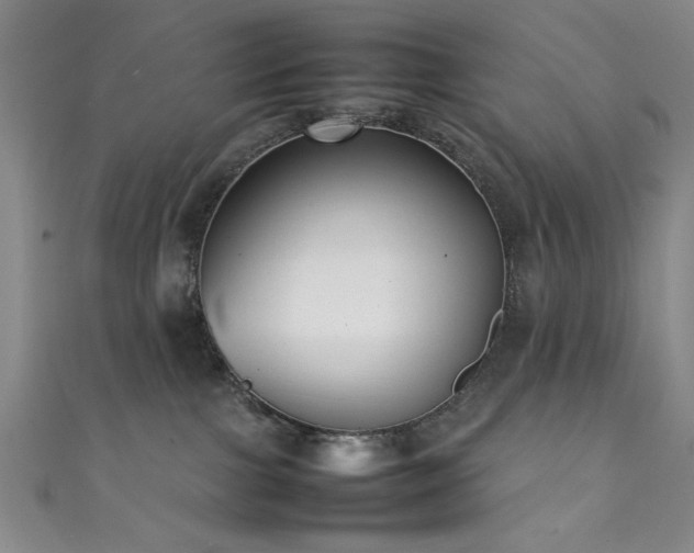 X0000111370091200907101220