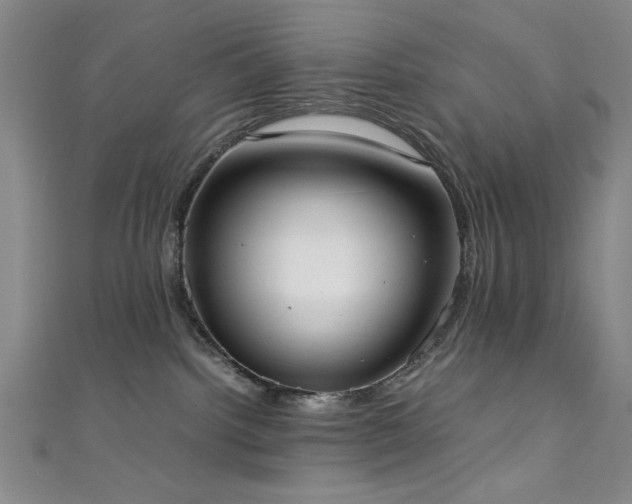 X0000111370092200907101220