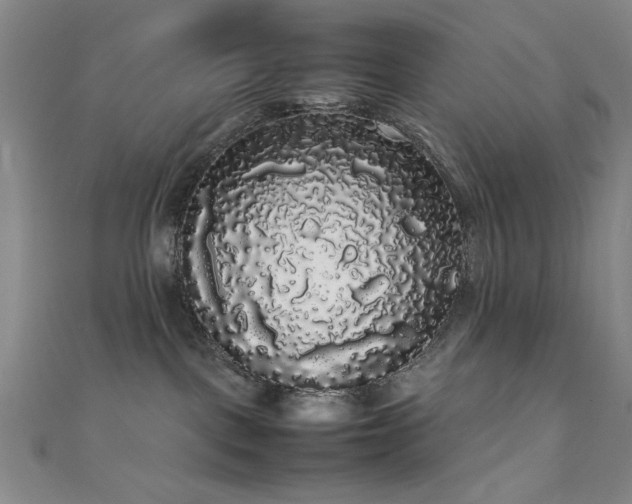 X0000111370093200907101220