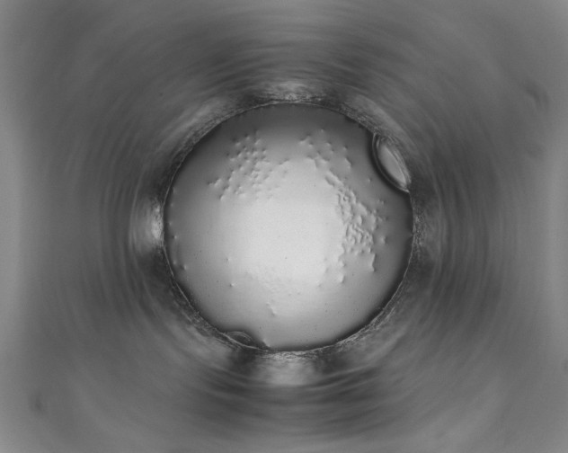 X0000111370095200907101220