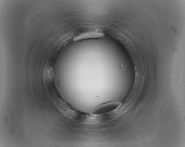 X0000111370096200907101220