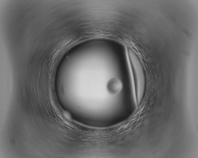 X0000111370097200907101219