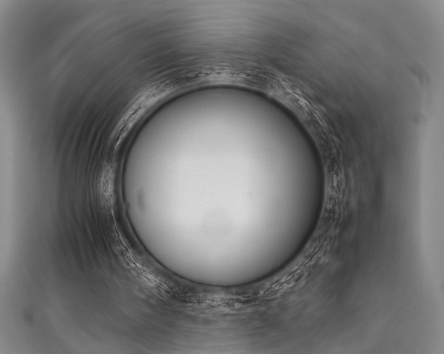 X0000111370098200907101219